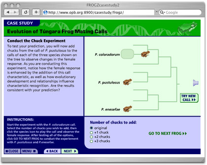 bio_shot_10.jpg